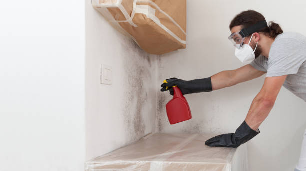 Professional Black Mold Removal technician working in Saddle River, NJ